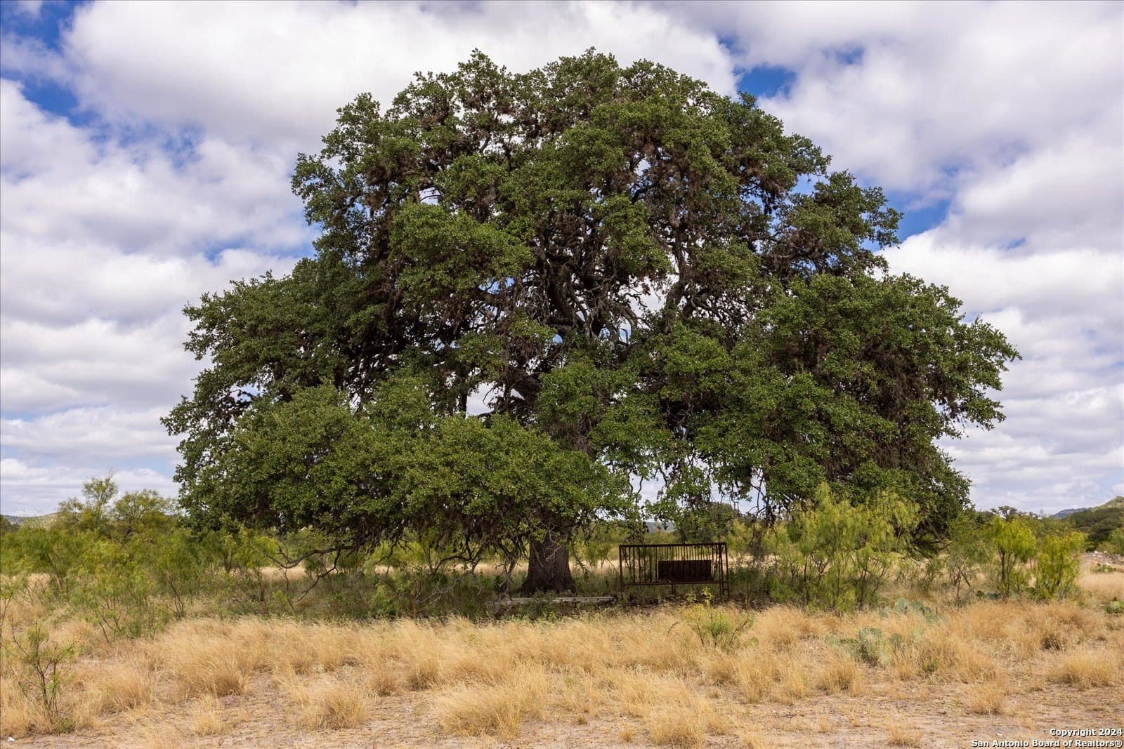 68.72 acres in Real County - photo 43