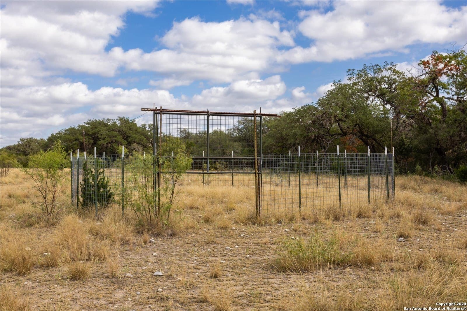 68.72 acres in Real County - photo 33