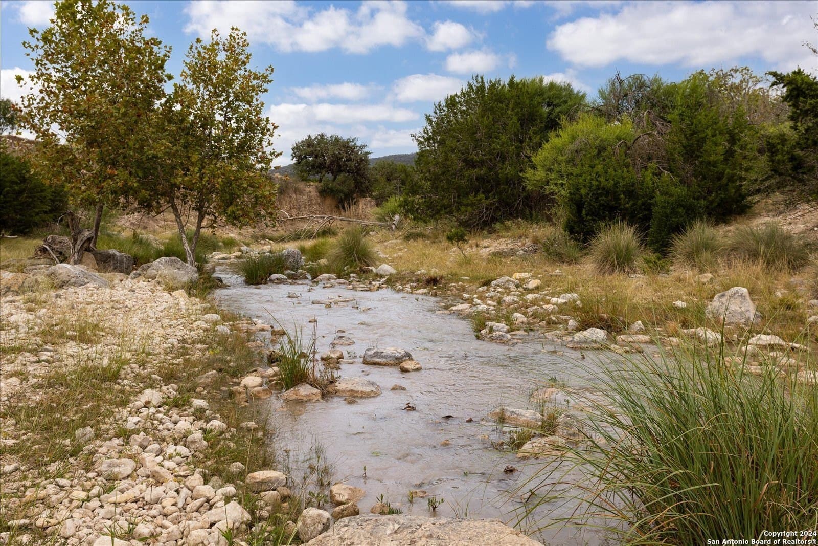 68.72 acres in Real County - photo 29