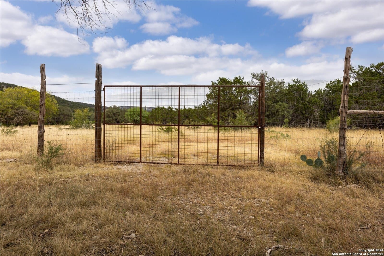 68.72 acres in Real County - photo 27