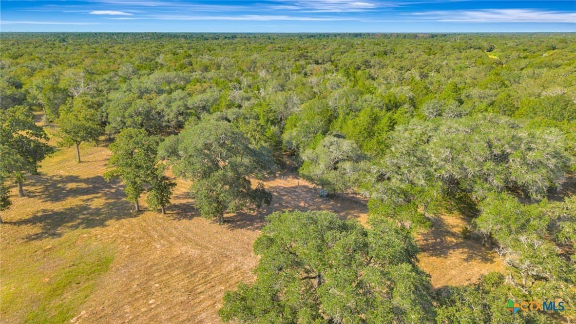 19.84 acres in Lavaca County - photo 28