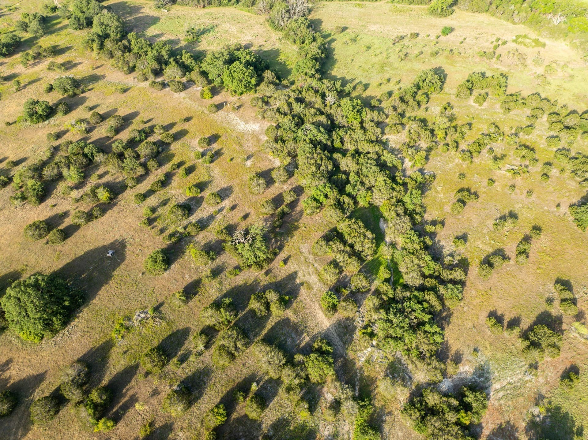 70 acres in Coryell County - photo 10