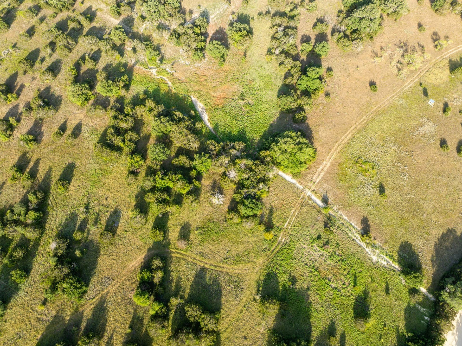 70 acres in Coryell County - photo 9
