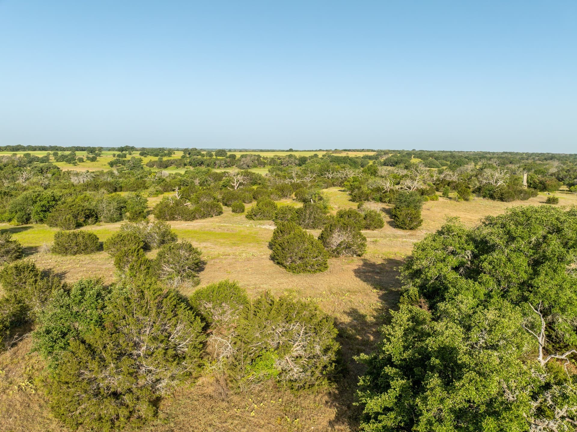 70 acres in Coryell County - photo 24