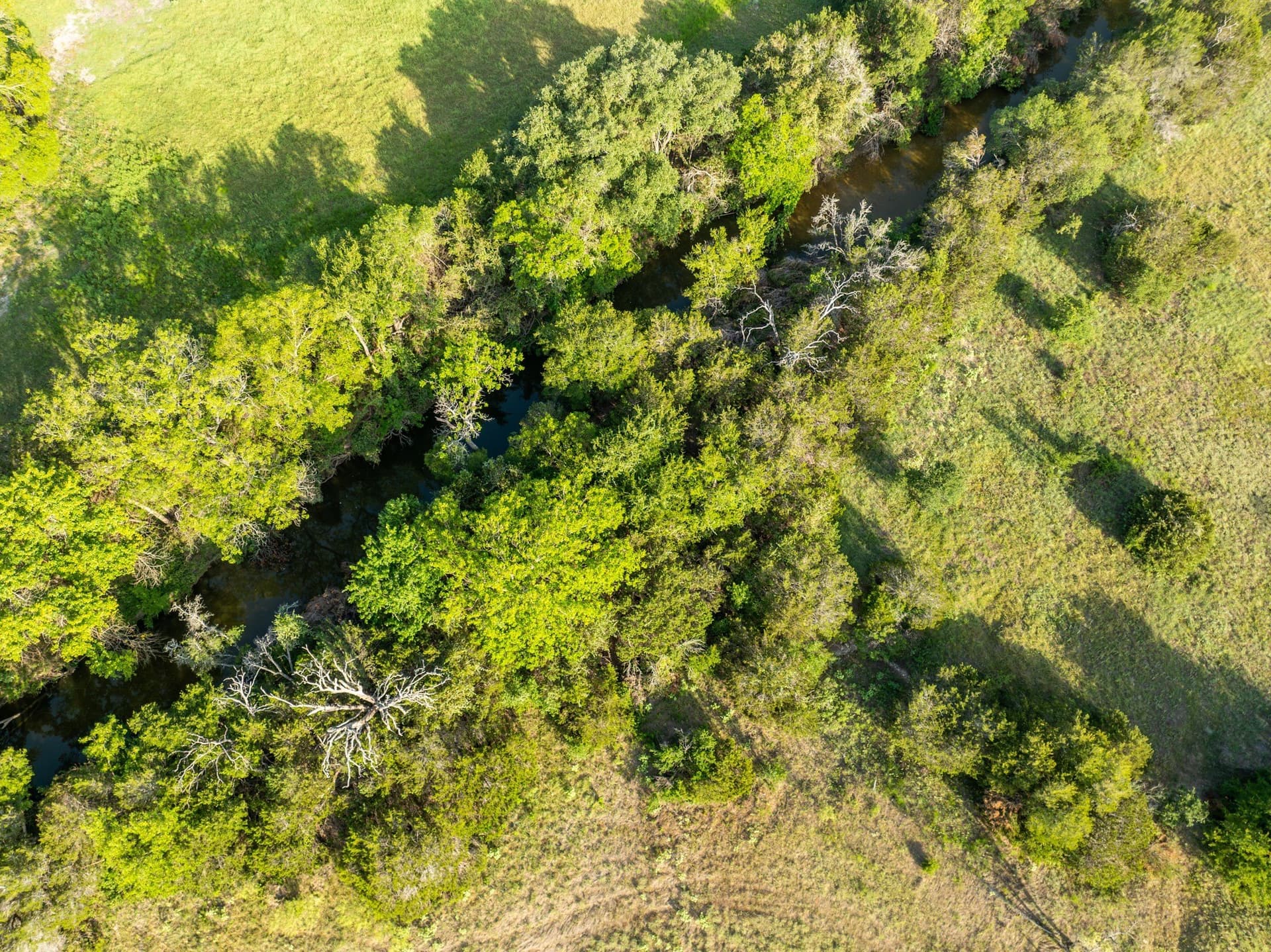 70 acres in Coryell County - photo 14