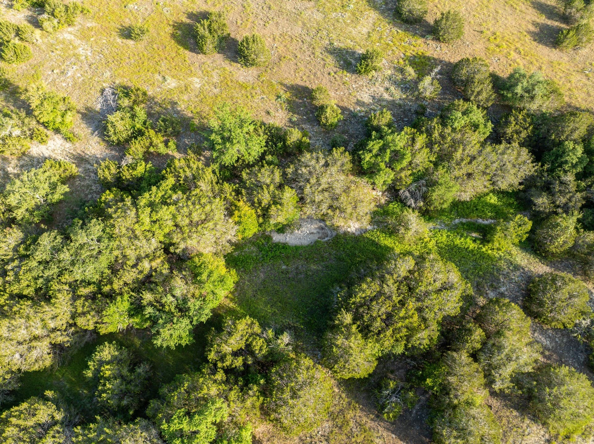 70 acres in Coryell County - photo 12