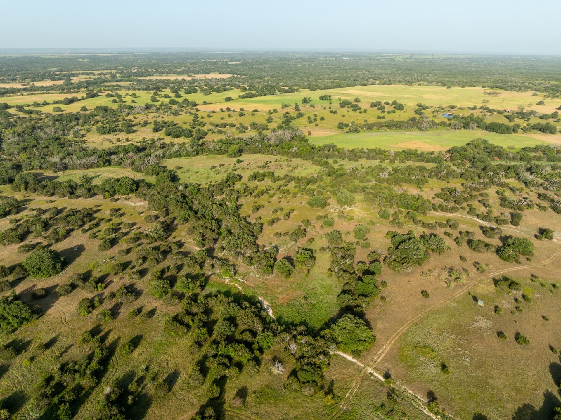 70 acres in Coryell County - photo 8