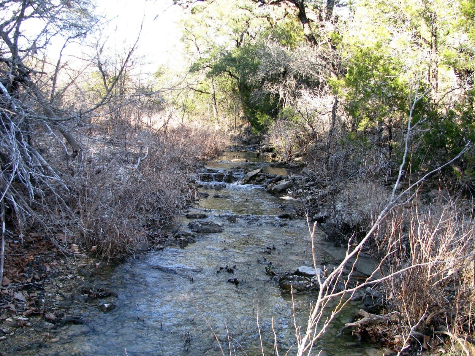 70 acres in Coryell County gallery image 3
