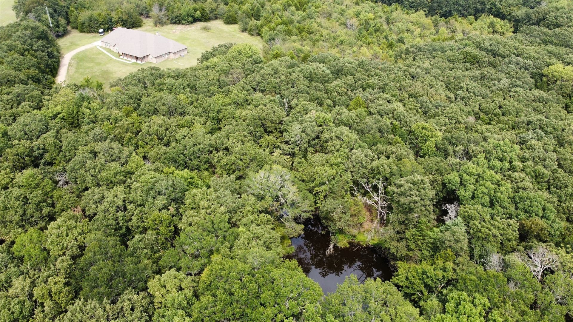 20 acres in Fannin County gallery image 3