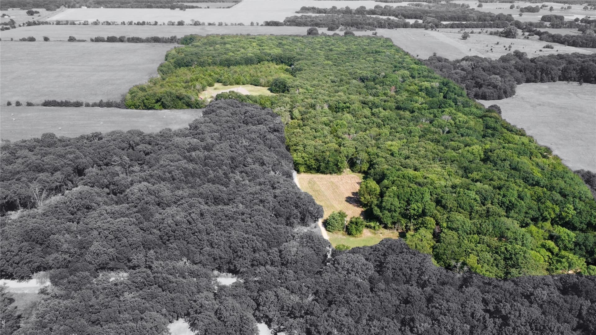 20 acres in Fannin County