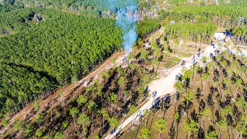 5.42 acres in Texas County gallery image 2