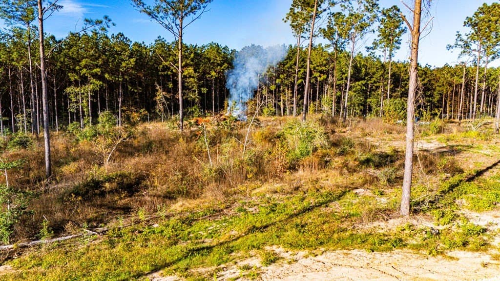 5.42 acres in Texas County featured view
