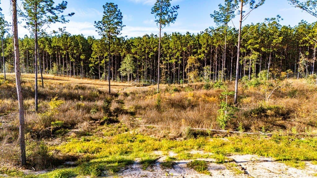 5.42 acres in Texas County gallery image 4