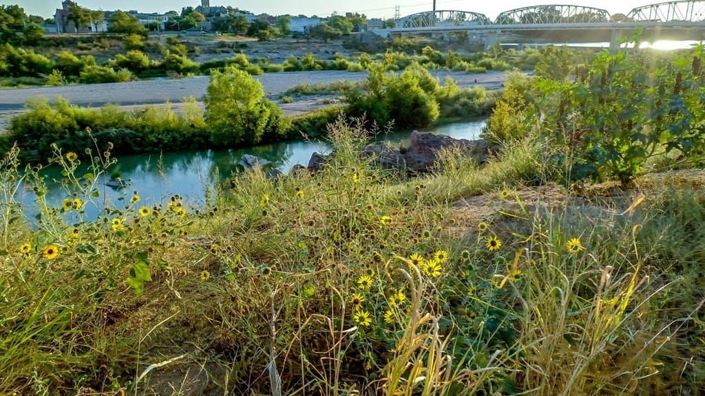 0.25 acres in Llano County - photo 6