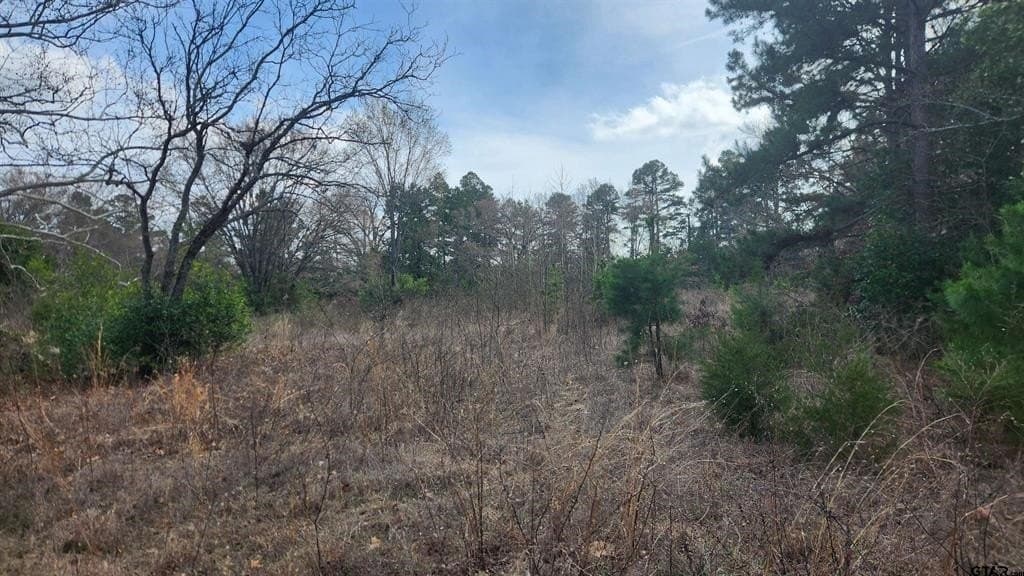 1.1 acres in Smith County featured view