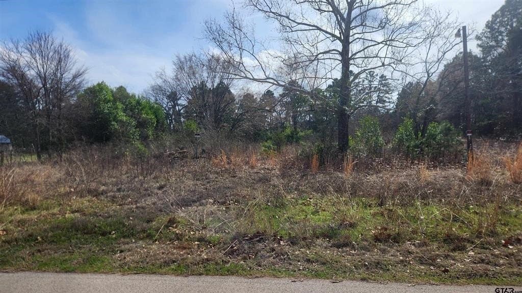 1.1 acres in Smith County
