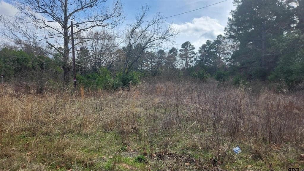 1.1 acres in Smith County gallery image 4