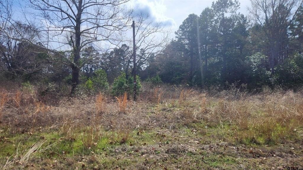 1.1 acres in Smith County gallery image 2