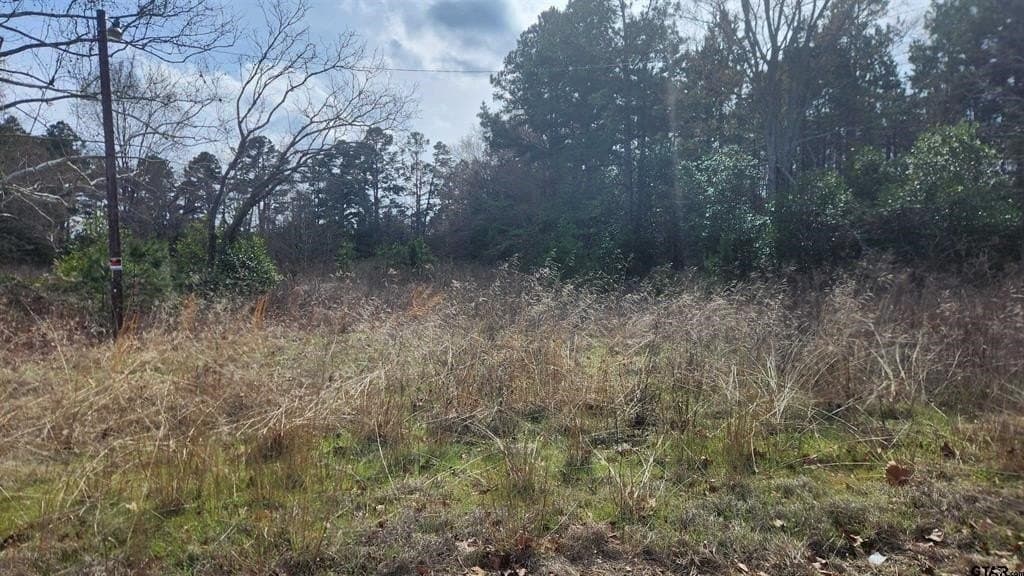 1.1 acres in Smith County gallery image 3
