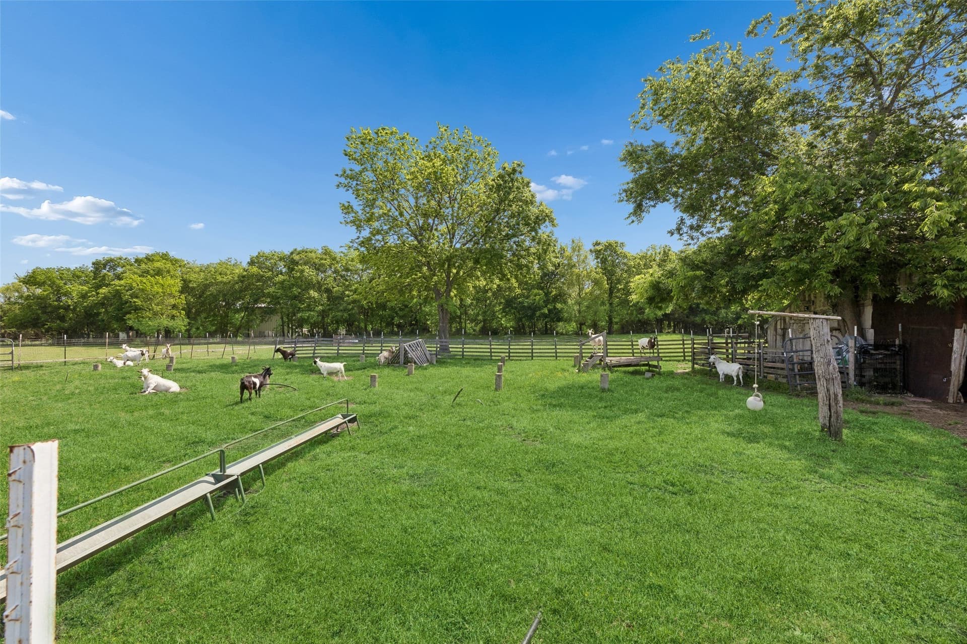 15 acres in Fannin County - photo 27