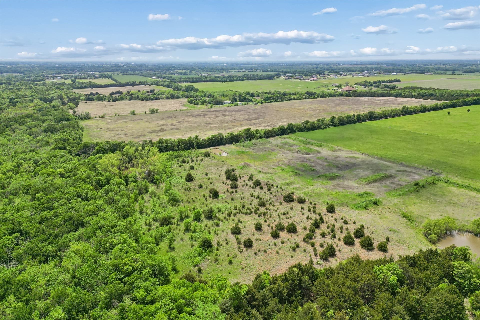 15 acres in Fannin County - photo 33