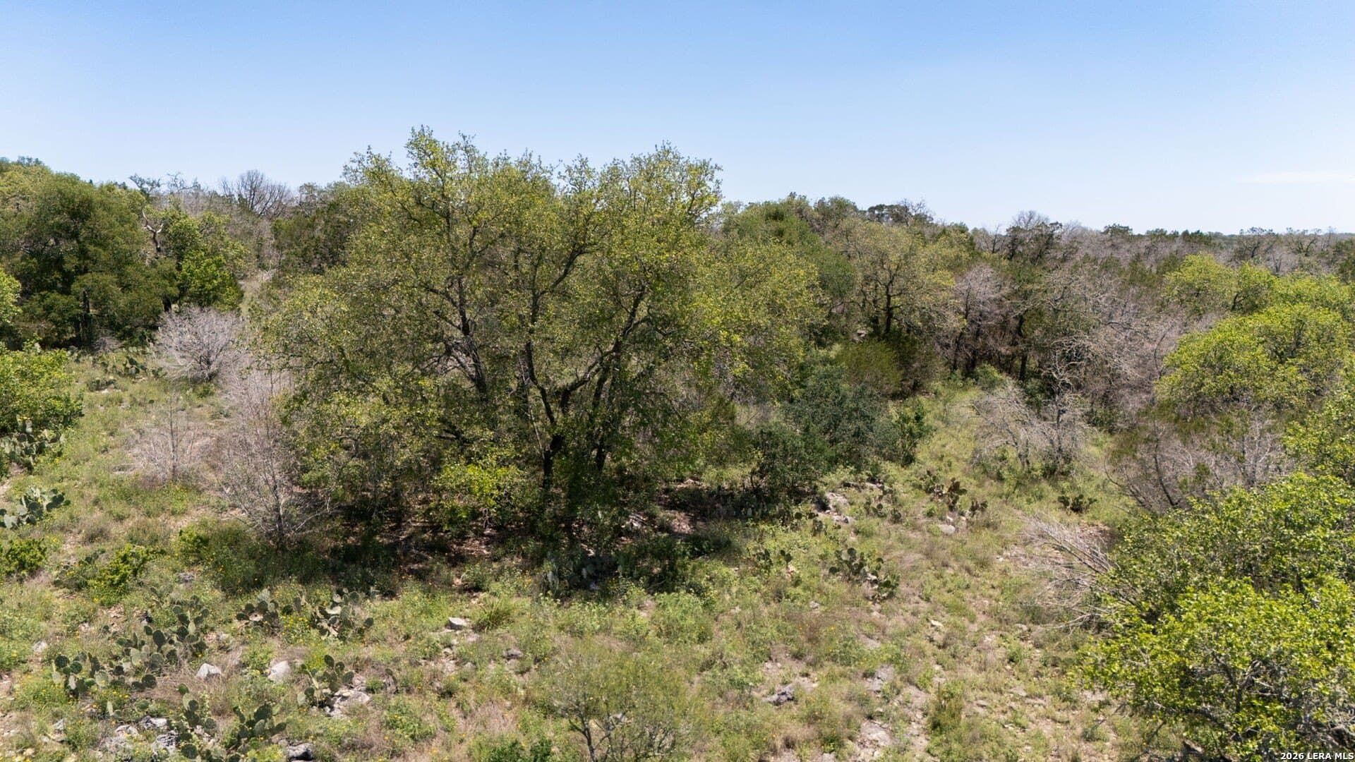 3.36 acres in Comal County - photo 25