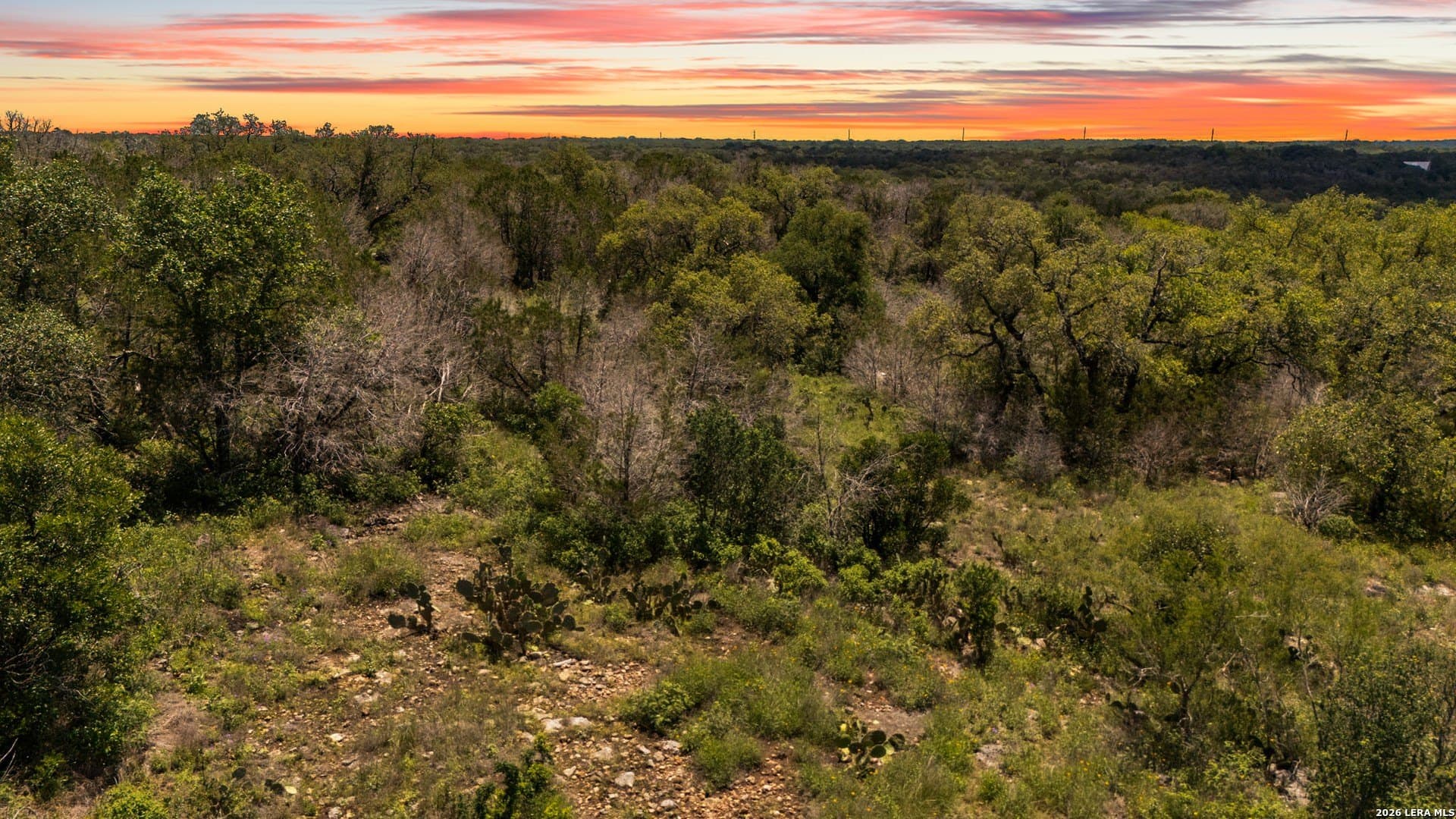3.36 acres in Comal County gallery image 4