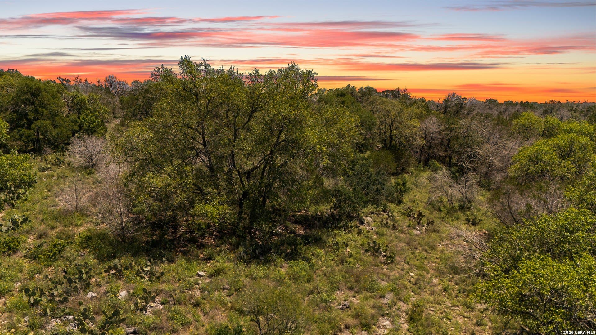 3.36 acres in Comal County gallery image 2