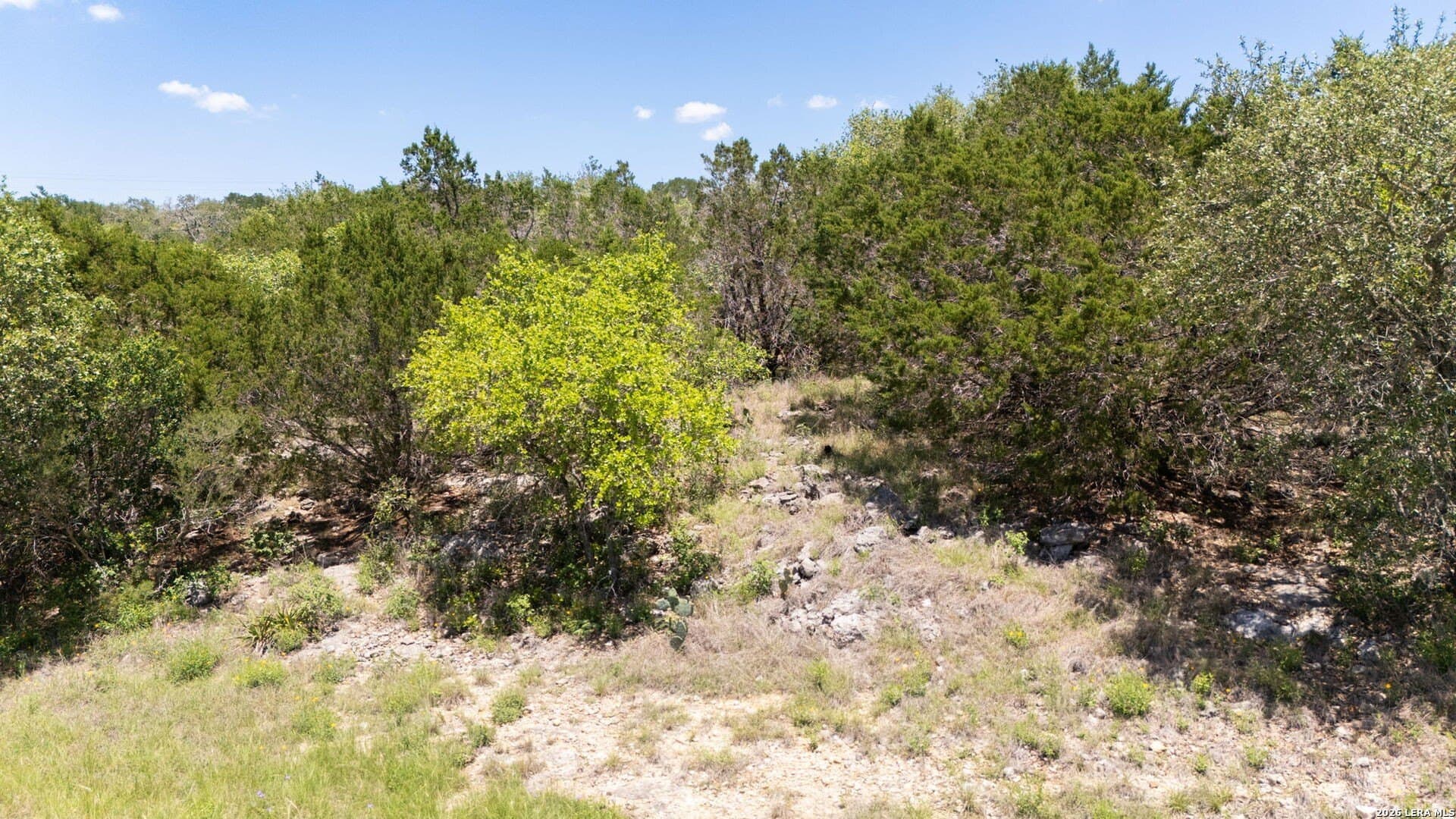 3.36 acres in Comal County - photo 23