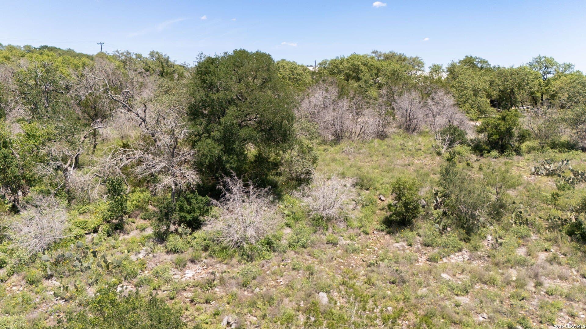 3.36 acres in Comal County - photo 29
