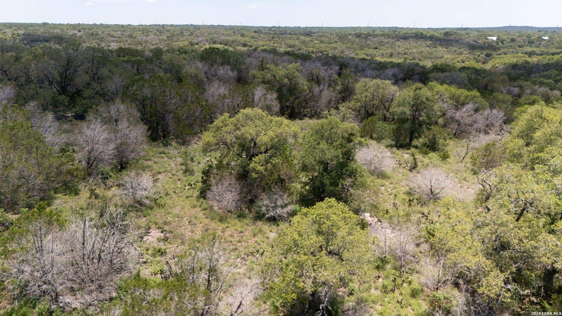 3.36 acres in Comal County - photo 37