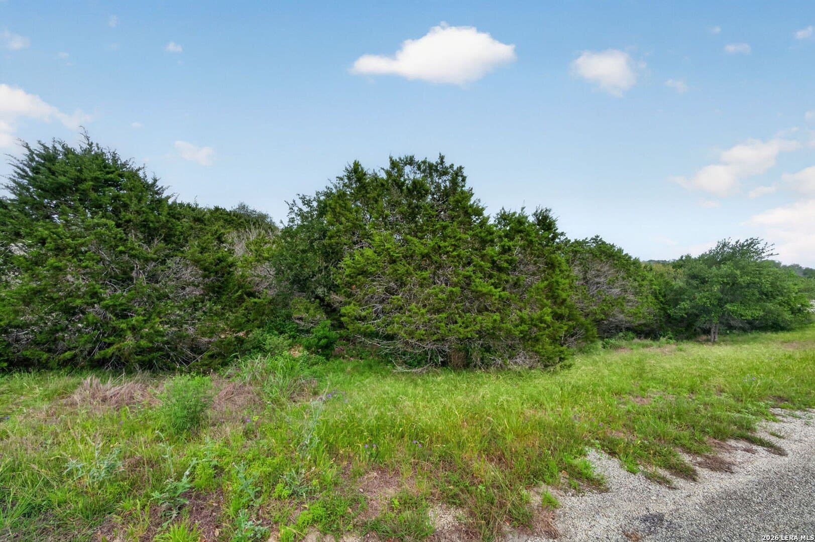 3.36 acres in Comal County - photo 44