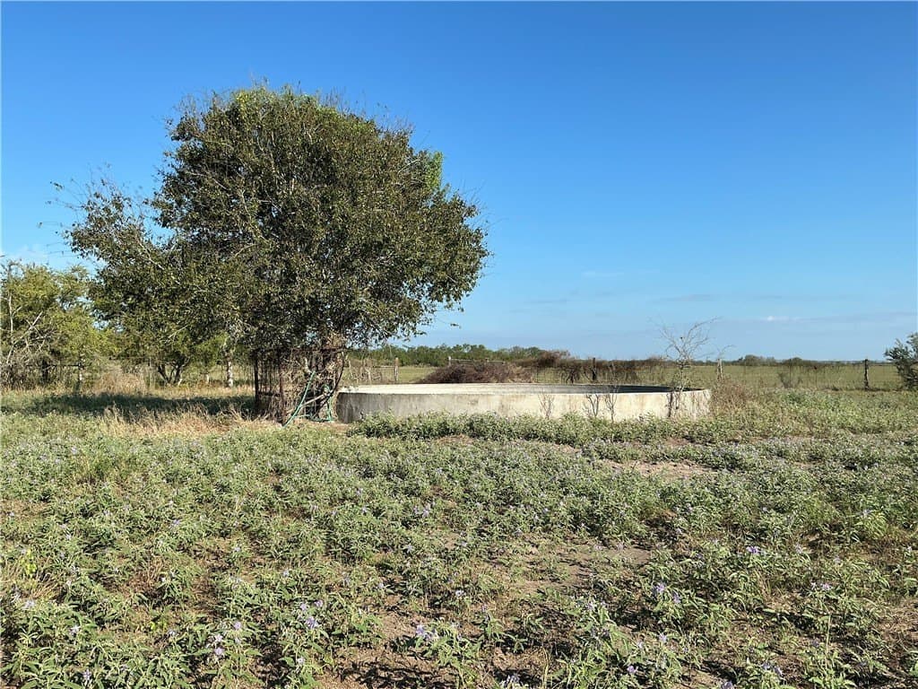 199.86 acres in Jim Wells County featured view