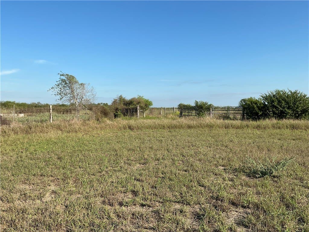 199.86 acres in Jim Wells County gallery image 4