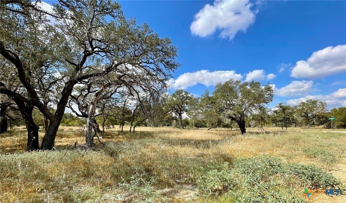 1 acres in Wilson County gallery image 2