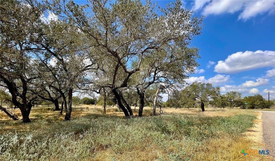 1 acres in Wilson County gallery image 3