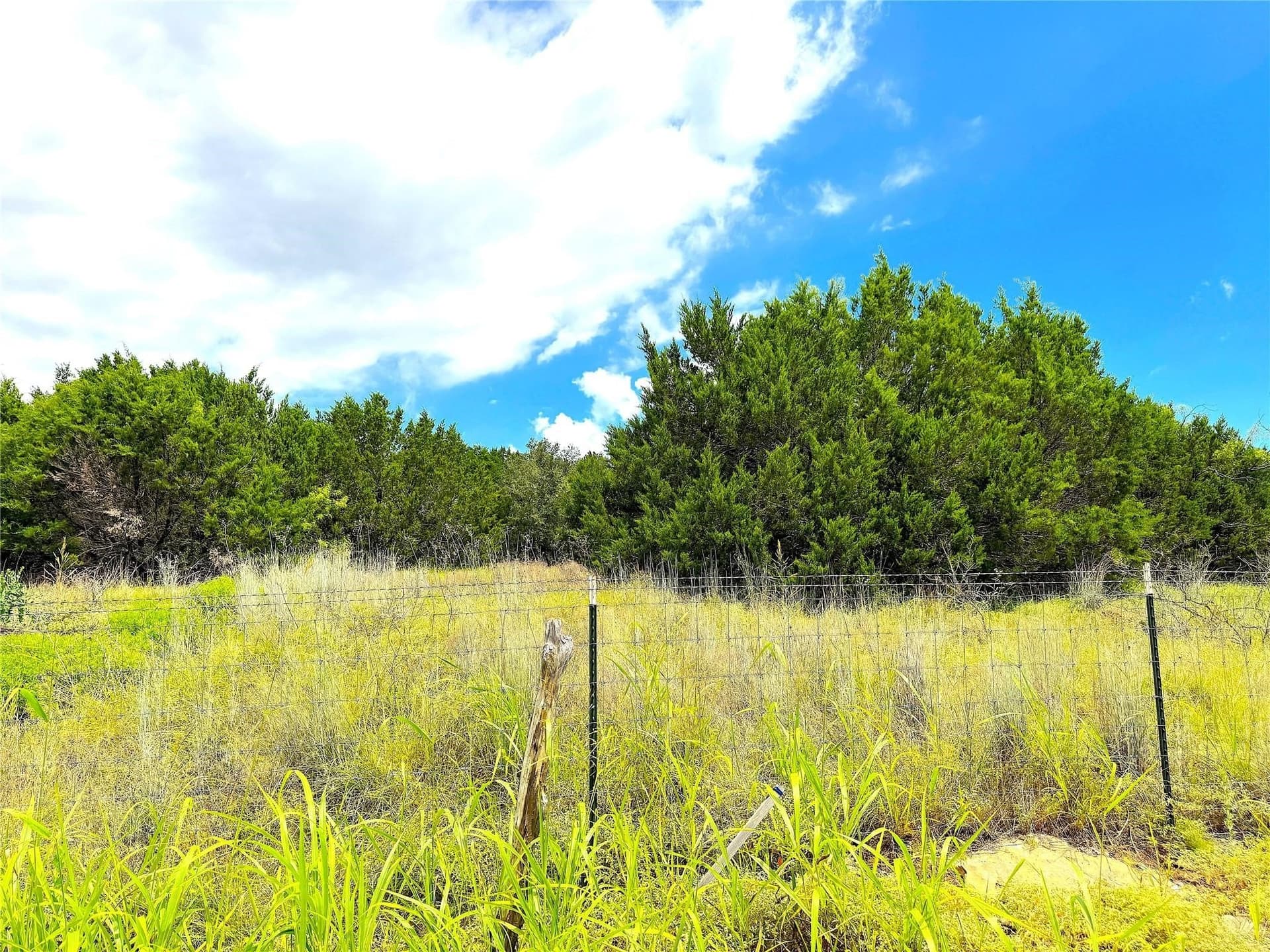 1.8 acres in Parker County - photo 15
