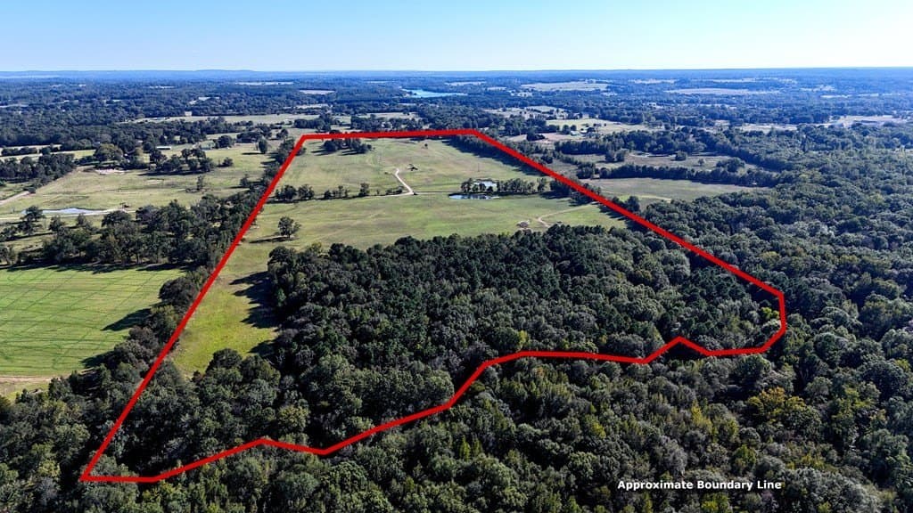 119.5 acres in HENDERSON County gallery image 4