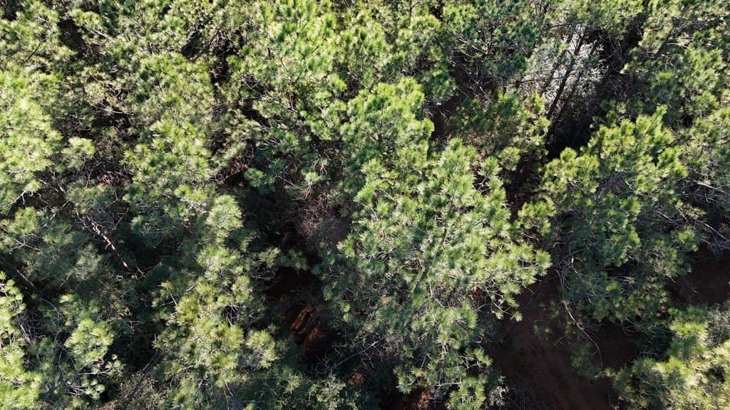 7.14 acres in Texas County - photo 9