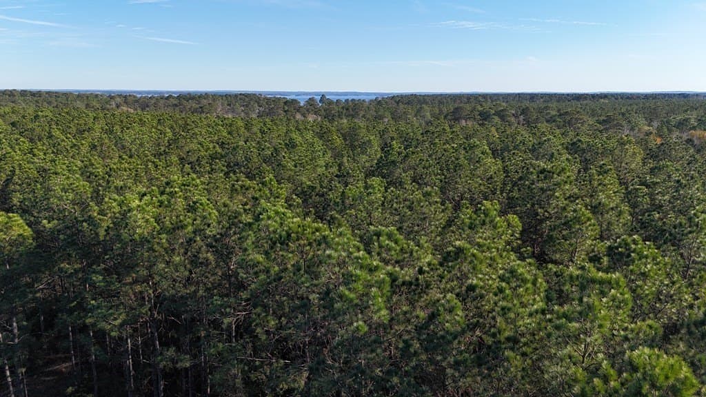 7.14 acres in Texas County - photo 10
