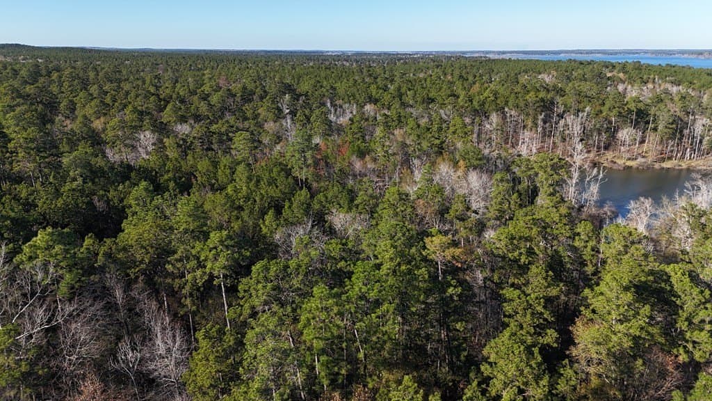 7.14 acres in Texas County - photo 7