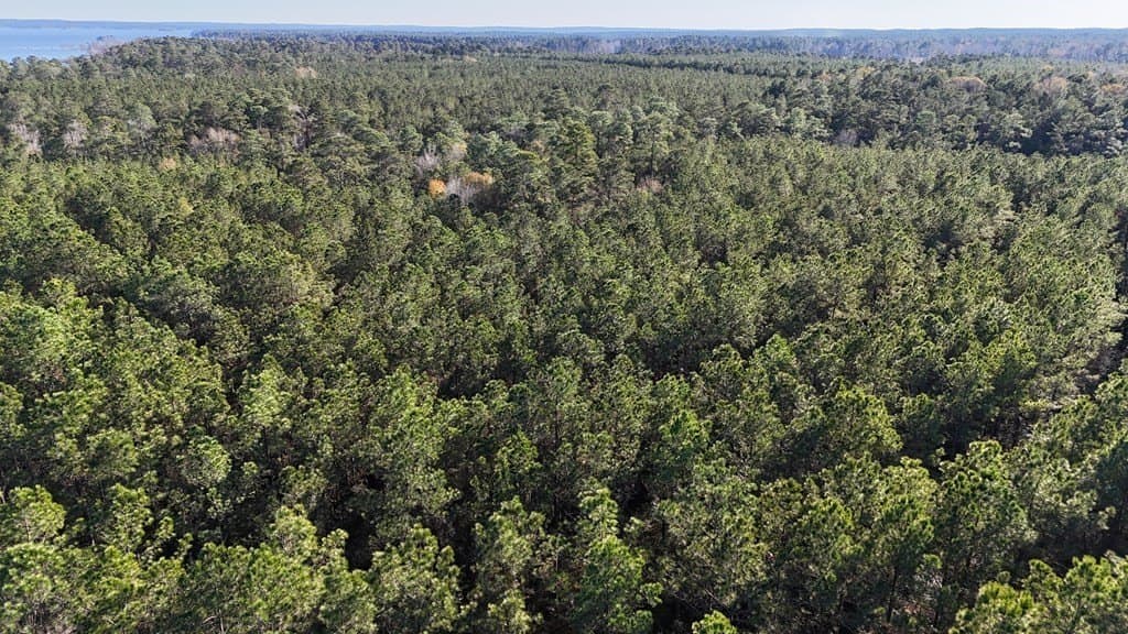 7.14 acres in Texas County - photo 6