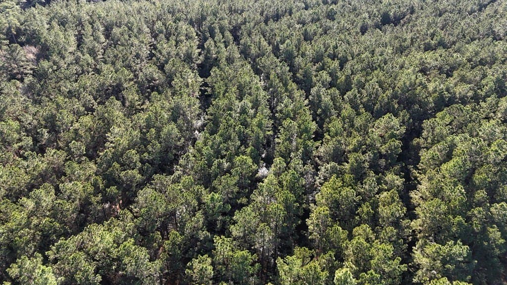 7.14 acres in Texas County - photo 8