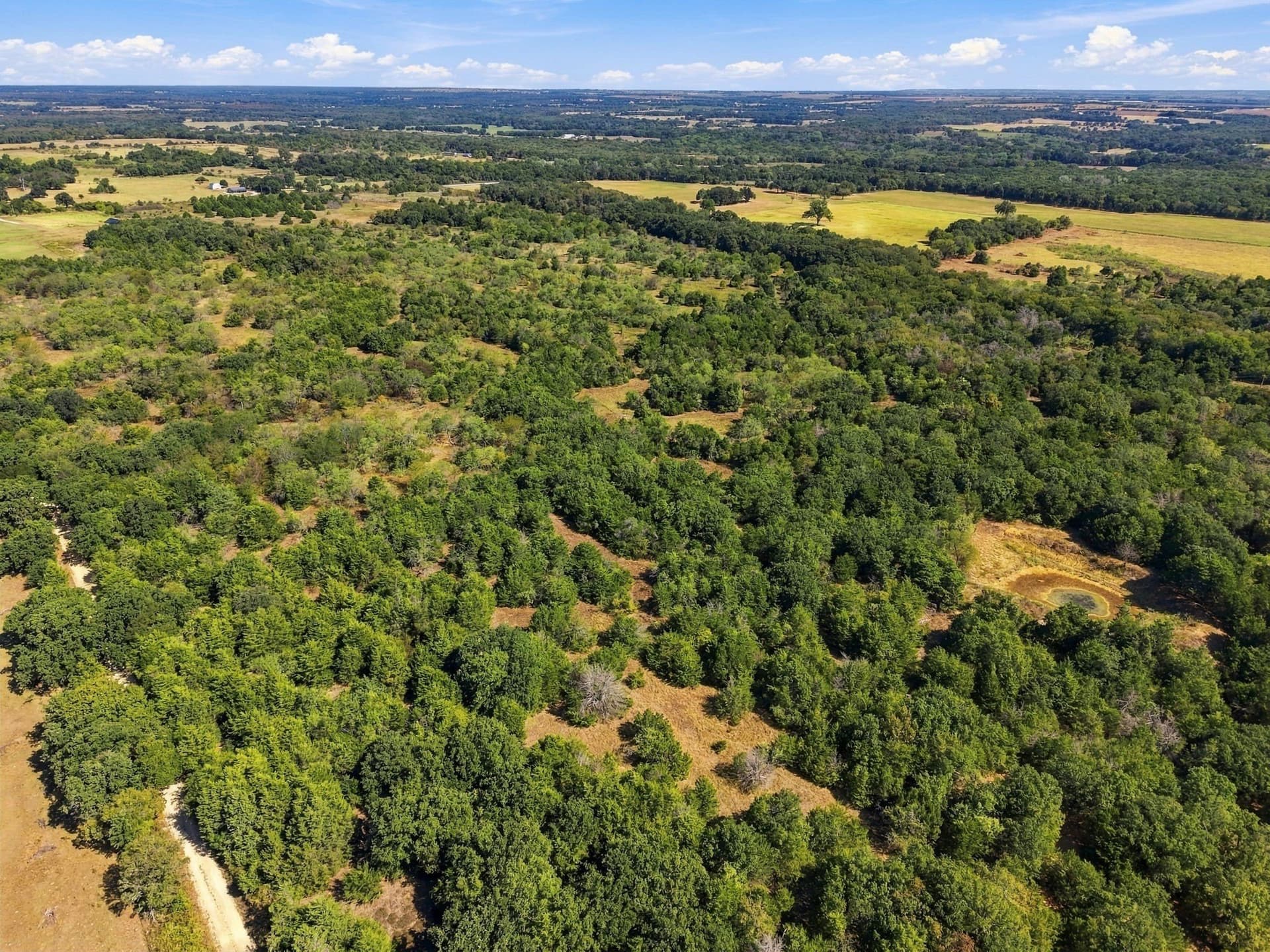 21.88 acres in Hill County - photo 4