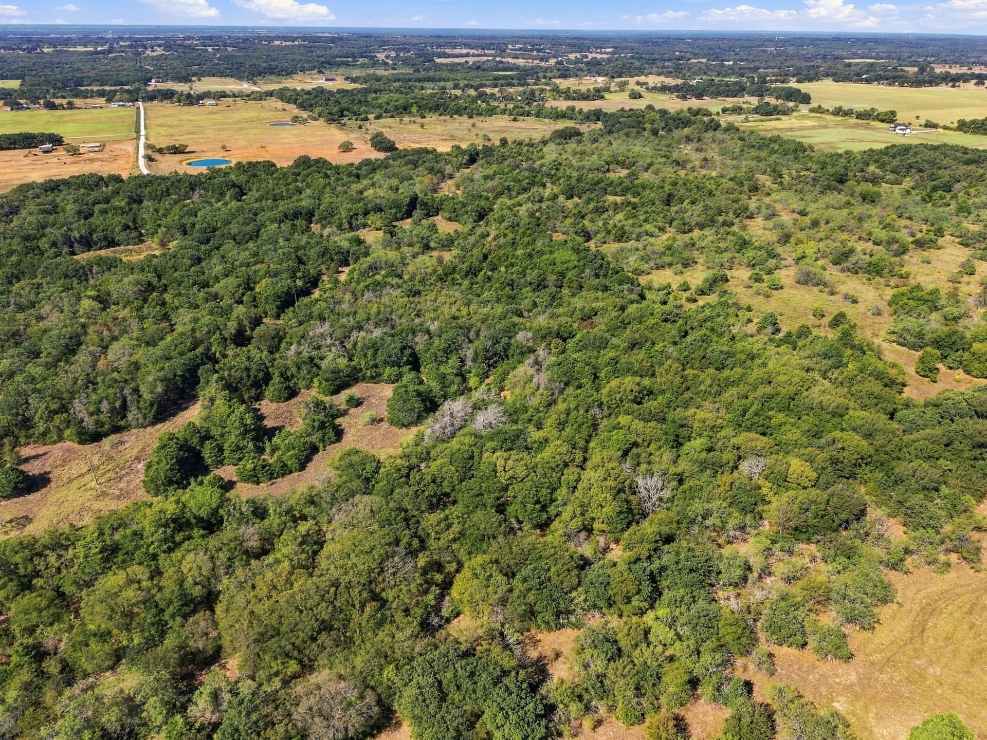 21.88 acres in Hill County - photo 9