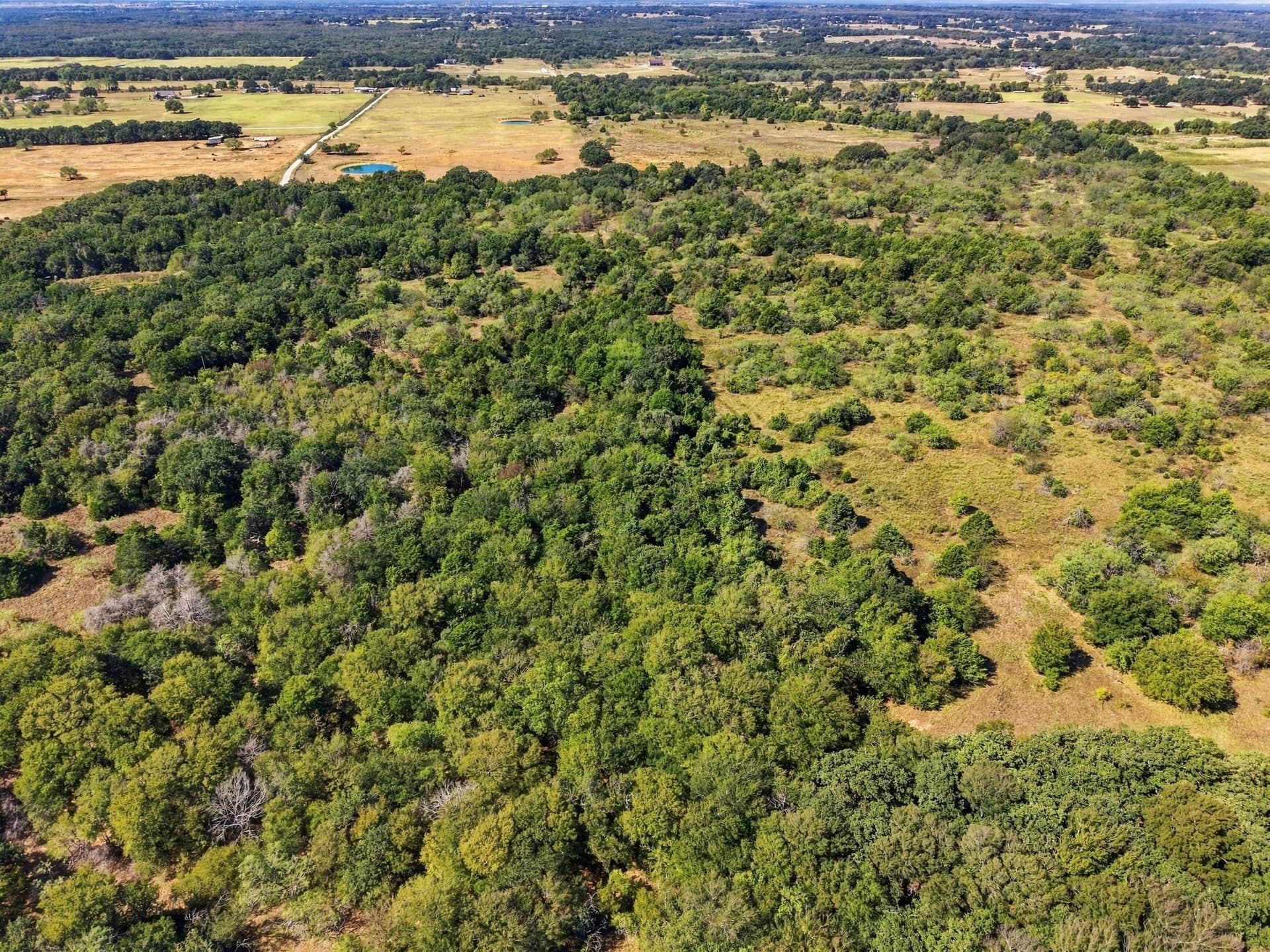 21.88 acres in Hill County - photo 8