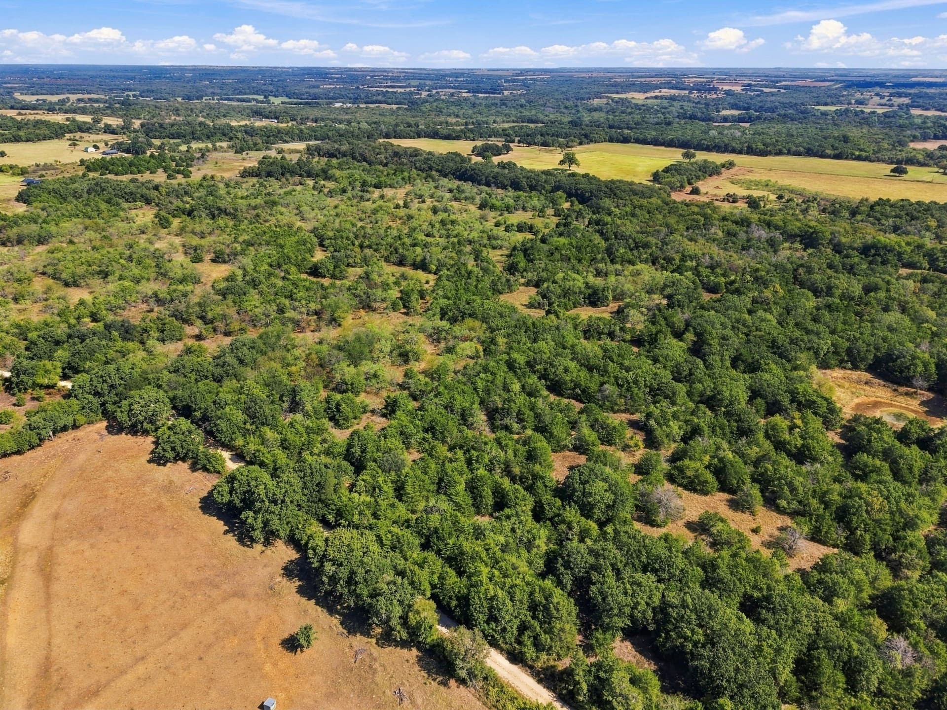 21.88 acres in Hill County - photo 5