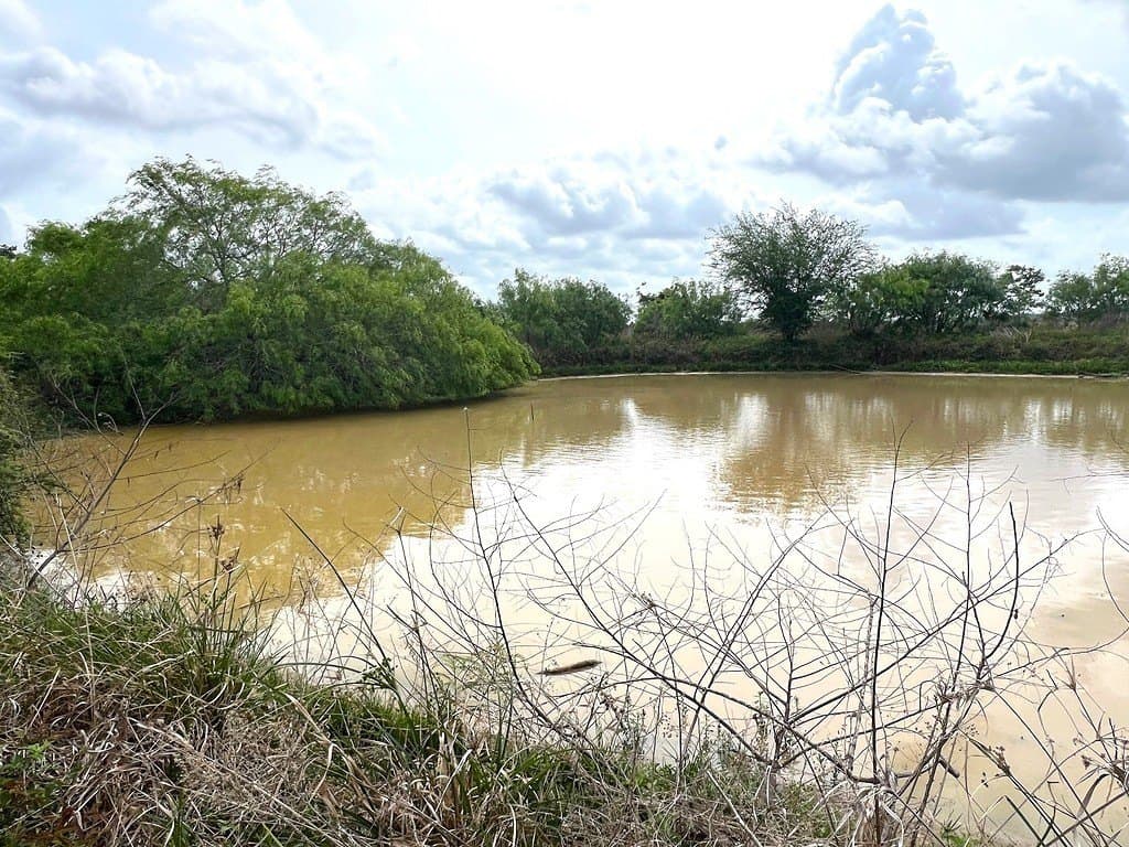 49.77 acres in Austin County - photo 6