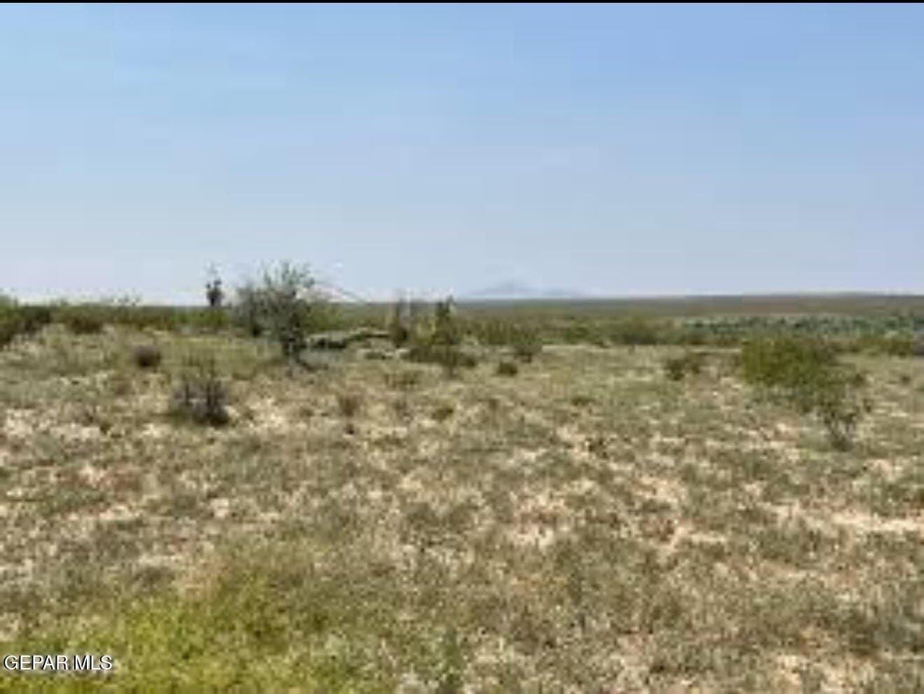 20 acres in Hudspeth County gallery image 2
