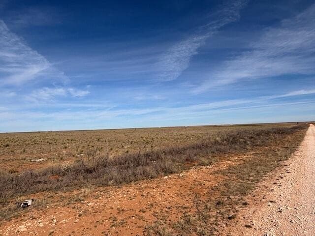 325 acres in Yoakum County - photo 6